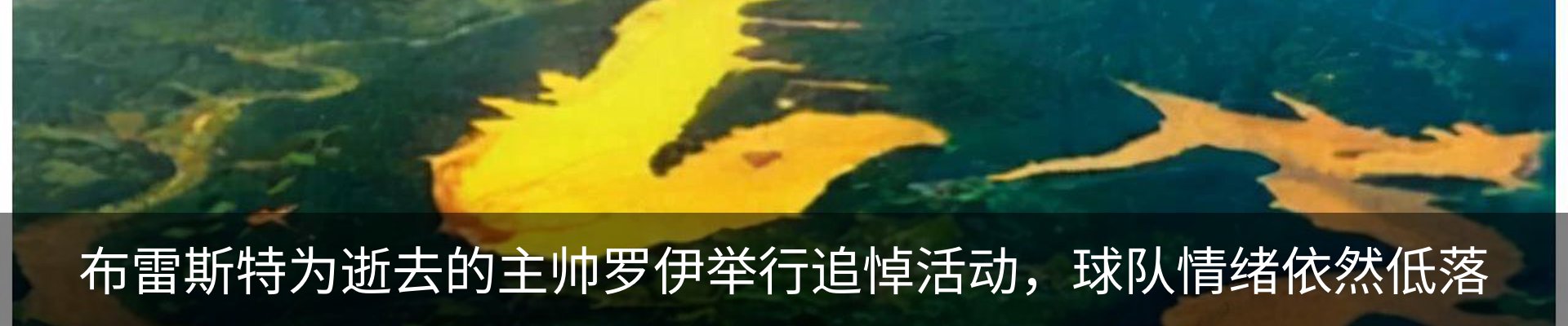 行业资讯